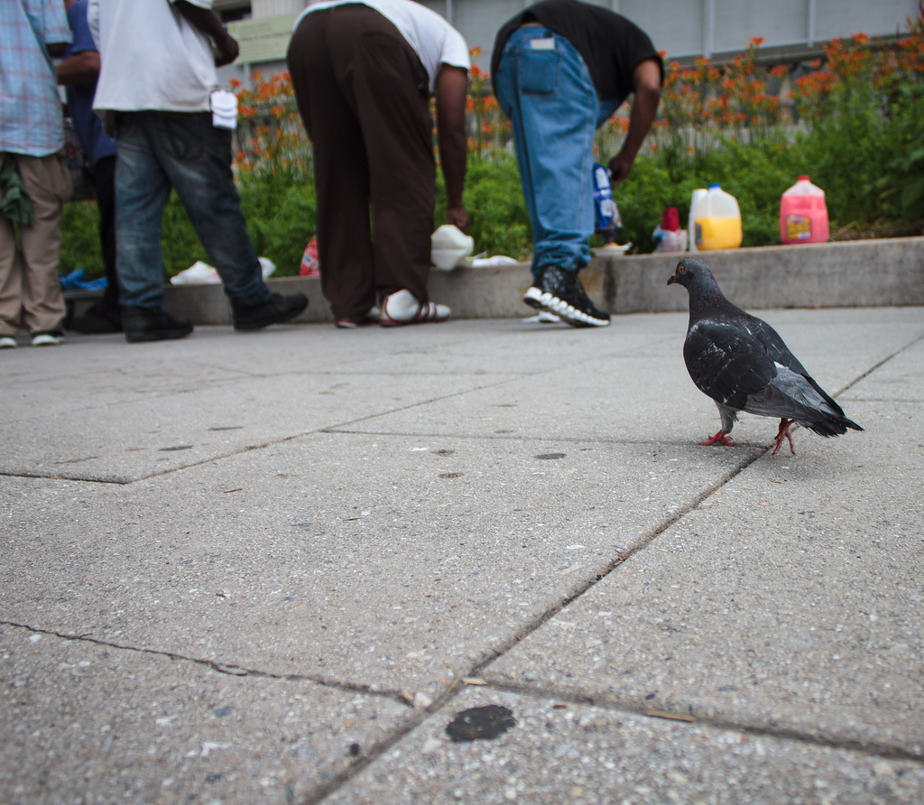 People line up to receive a free bowl of cereal and other necessities.