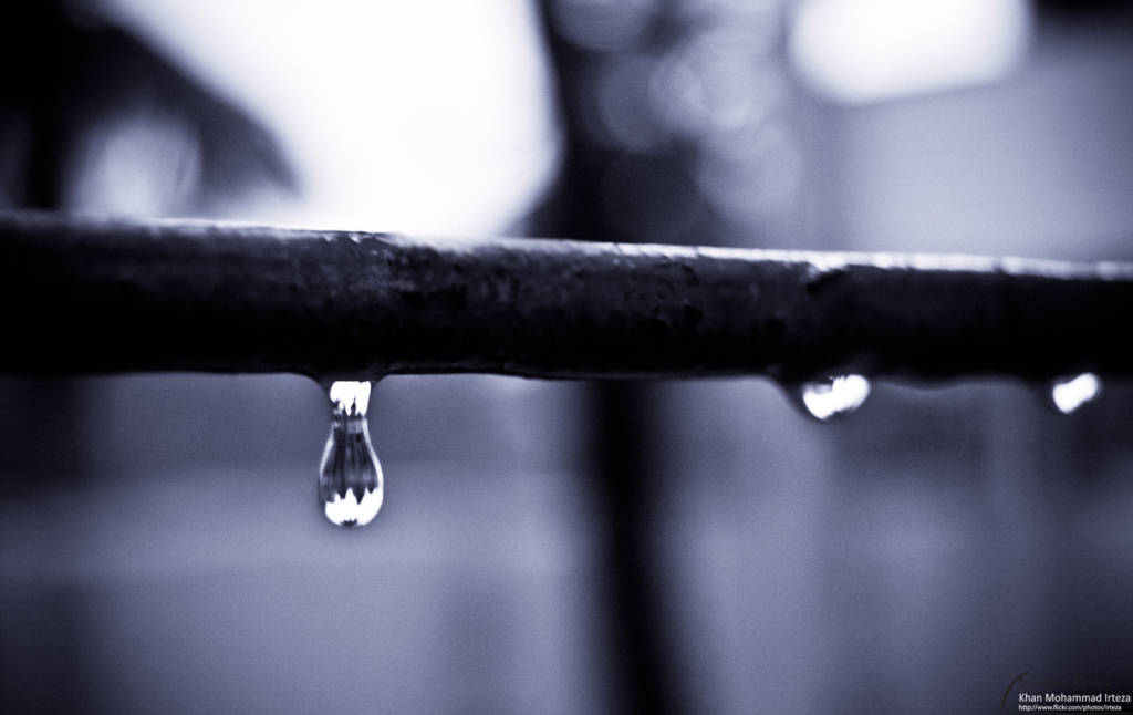 Photograph of rain drops