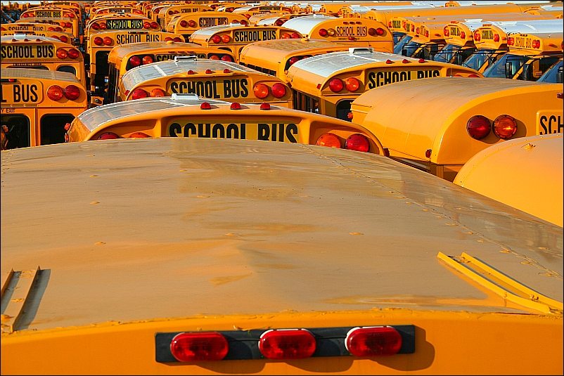 School buses