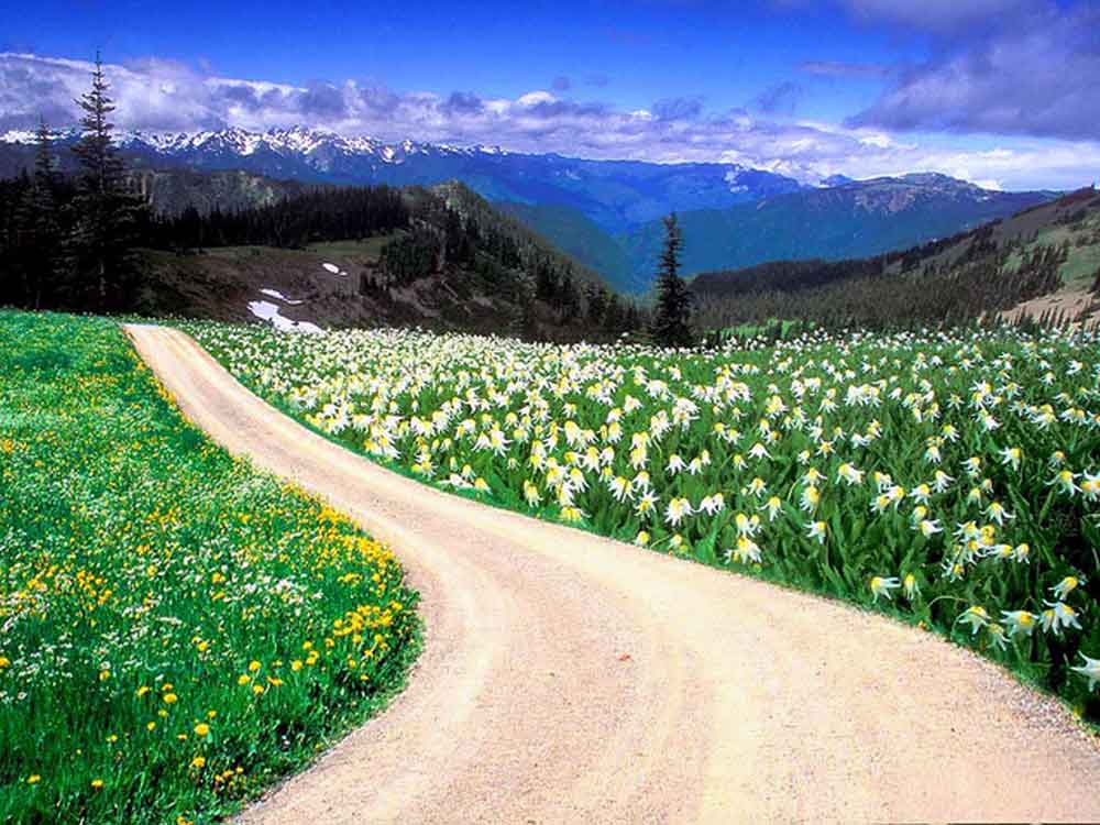 Scenic road