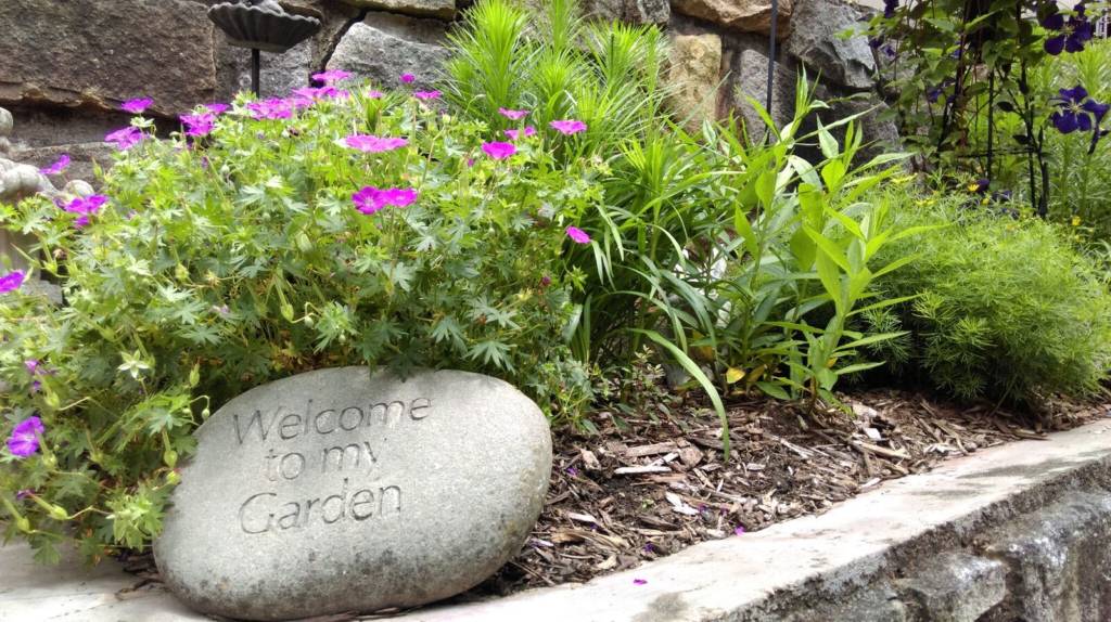 A photo of a garden.