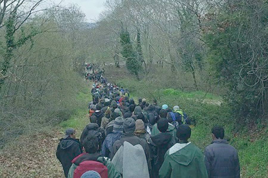 People traverse down a path surrounded by trees.