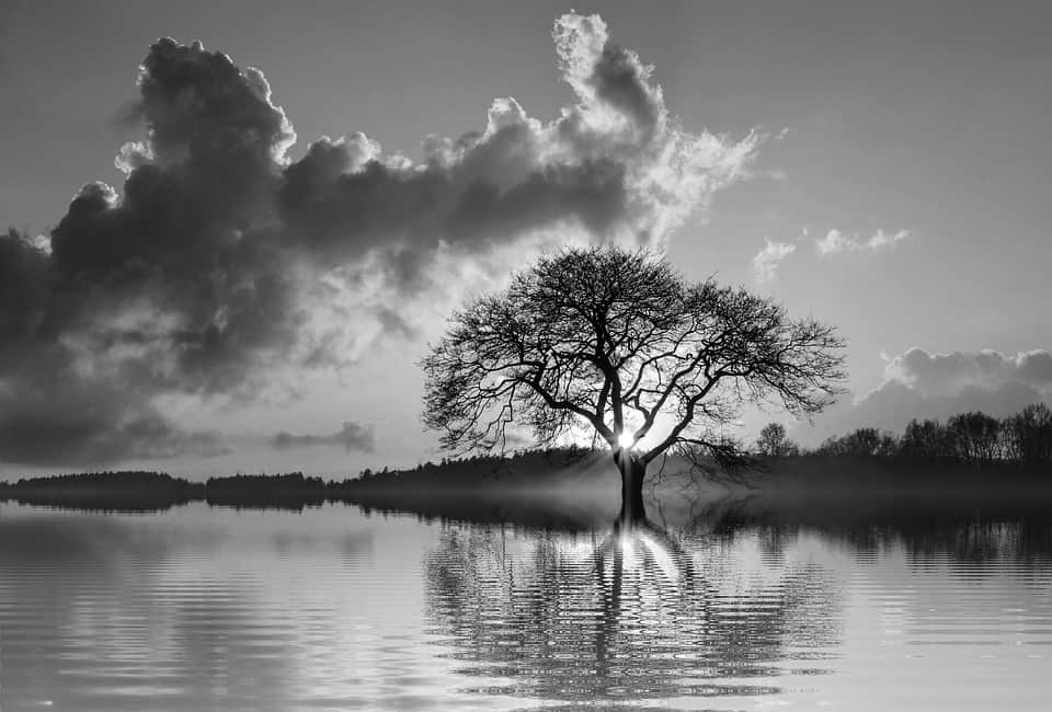 Landscape in Nigeria