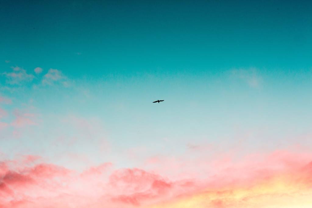 Pink clouds in a blue sky.