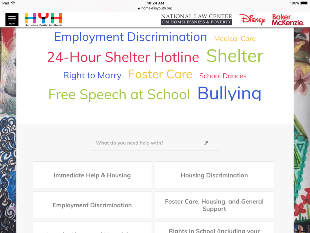 A screenshot of the Homeless Youth Handbook.
