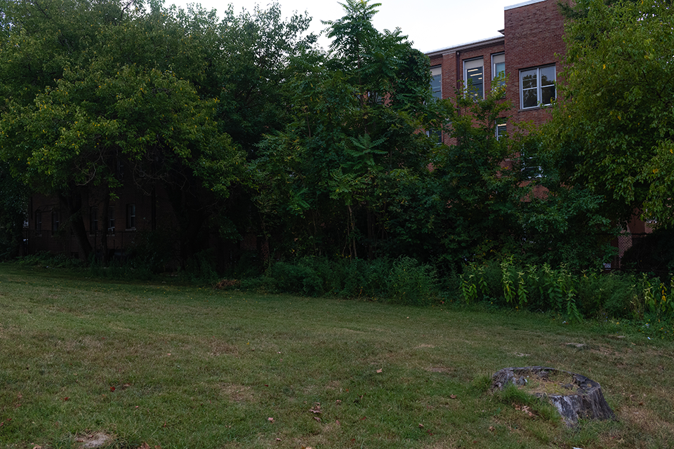shrubs in front of Nativity Women's Shelter