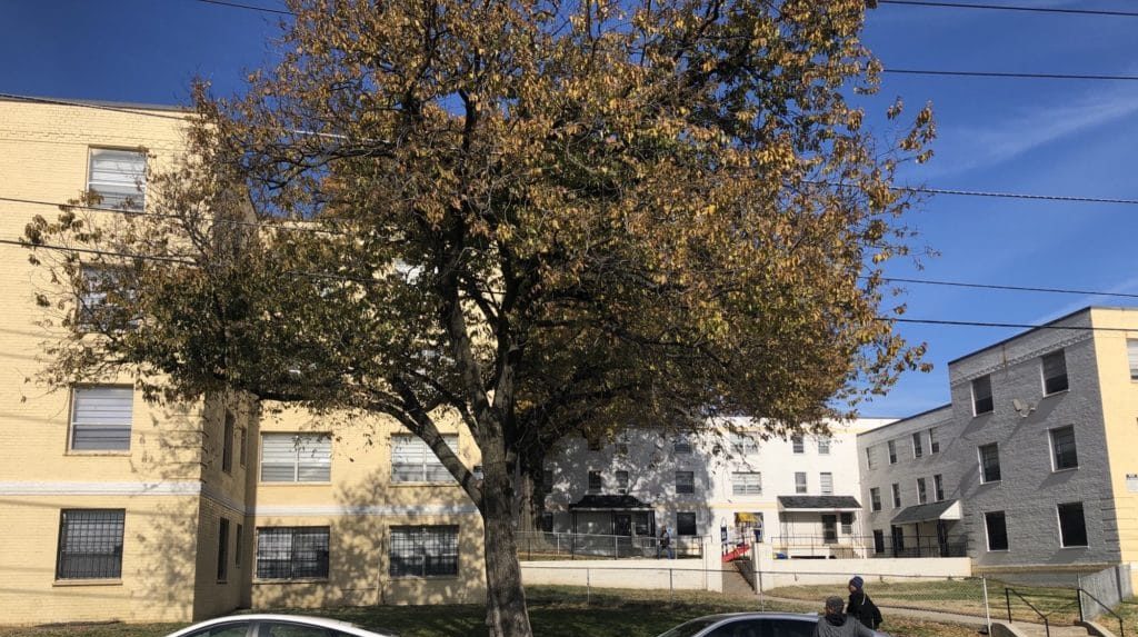 An look at some of the Brookland Manor apartments from across the street