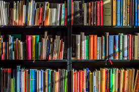 Colorful books sit on a shelf bathed in sunlight.