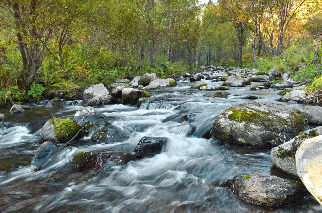 A fast moving river moves among rocks, green trees line the shores