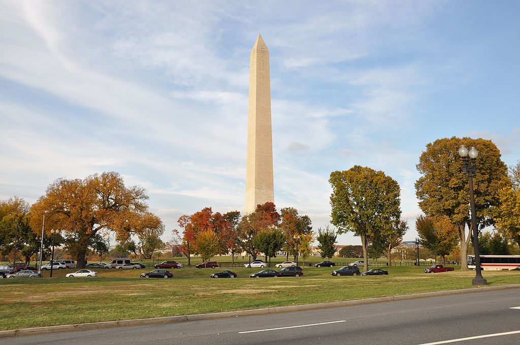 A photo of trees with fall foliage