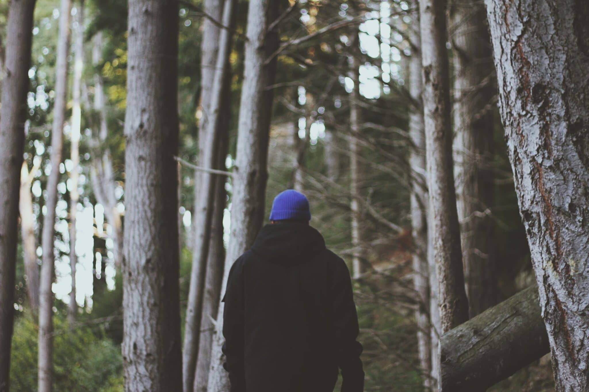 Rear view of man standing in forest.