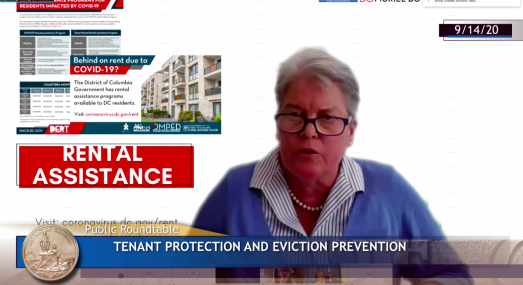 DHCD Director Polly Donaldson testified about rental assistance on Sept. 14.