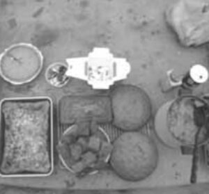 A photo of recovered food.