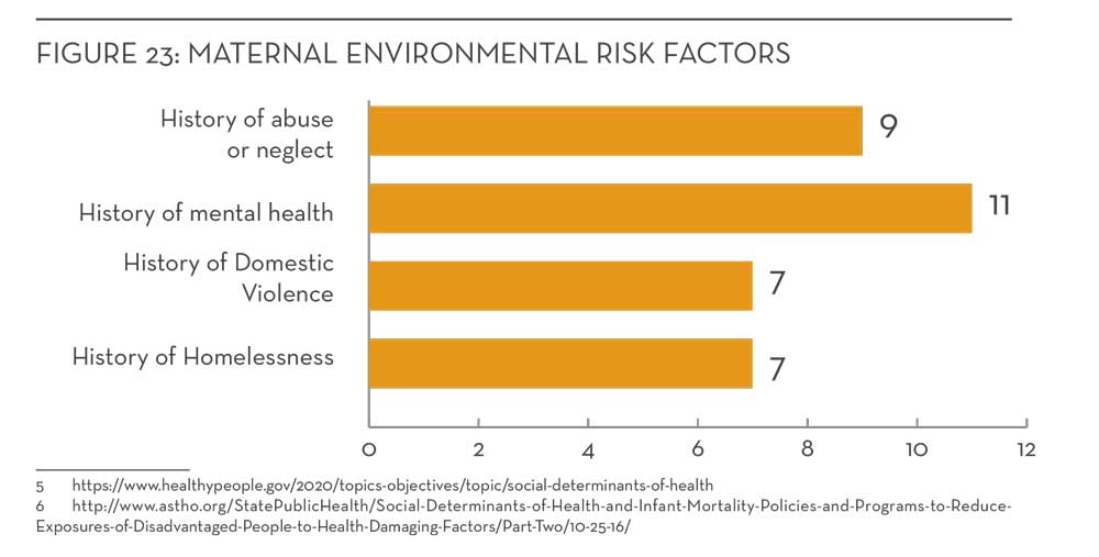 Bar chart showing that histories of abuse or neglect, domestic violence, homelessness, and mental health were all common trends in detrimental enviornments