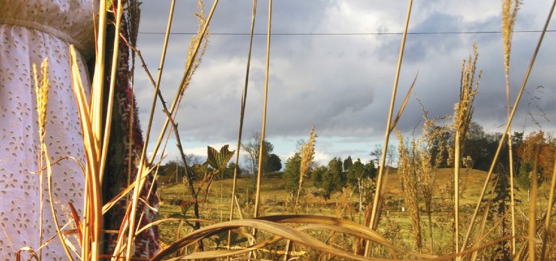 Photo of a country field with a dress partially visible; it may be on a clothes line