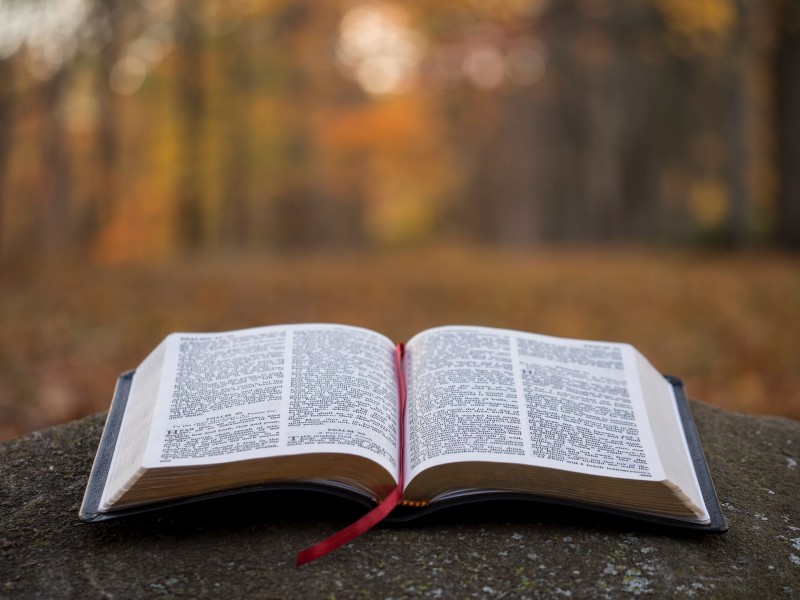 Photo of an open bible