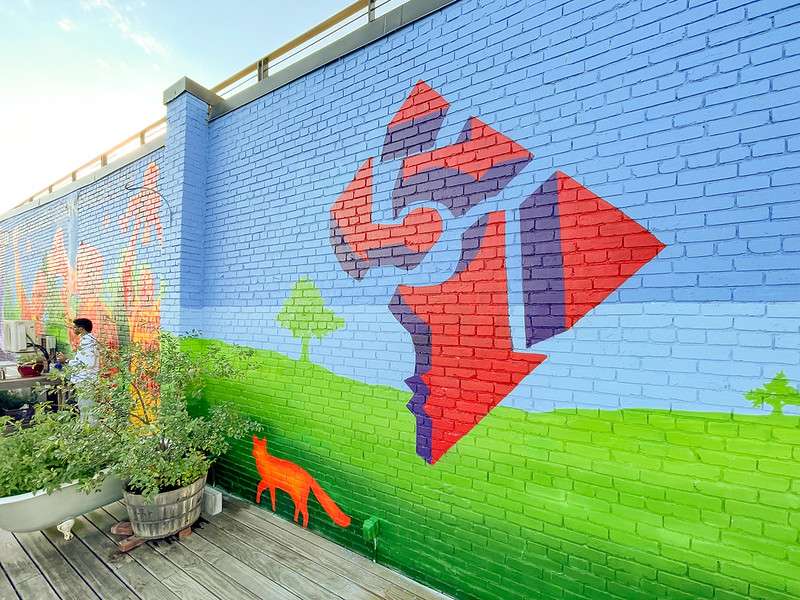 Photo of a colorful mural depicting the shape of the District crisscrossed with lines forming the number "51"