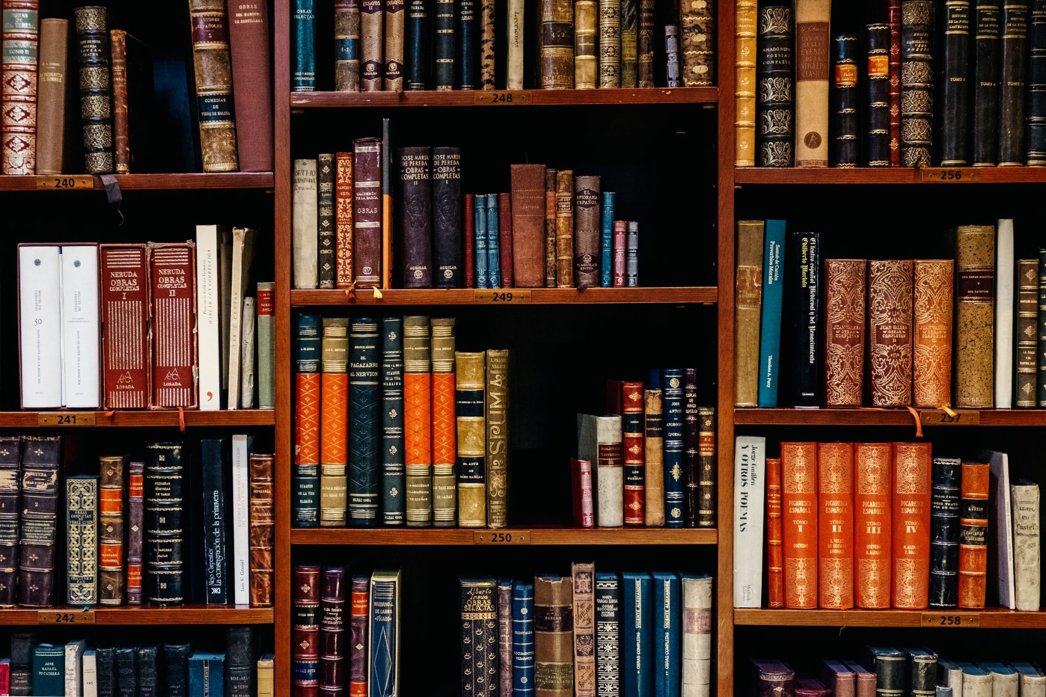 Photo of a bookshelf with multicolored books lined up by spine.