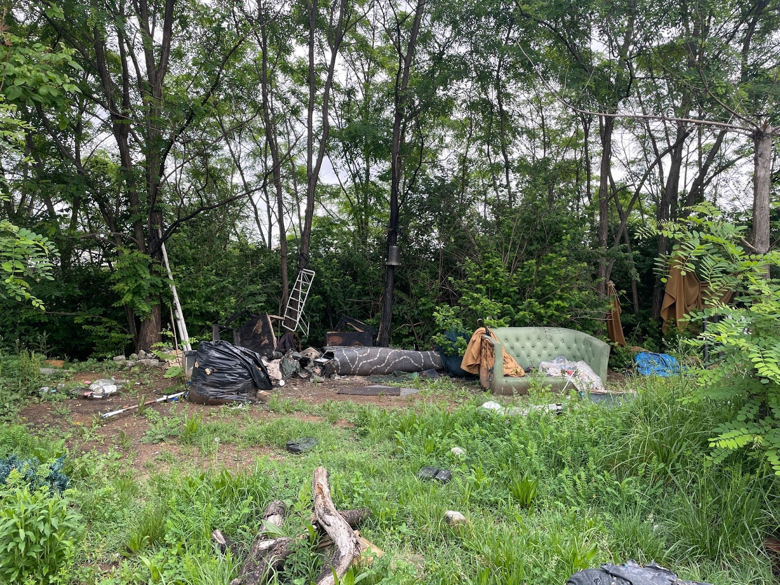 A tent and some belongings in a forest.