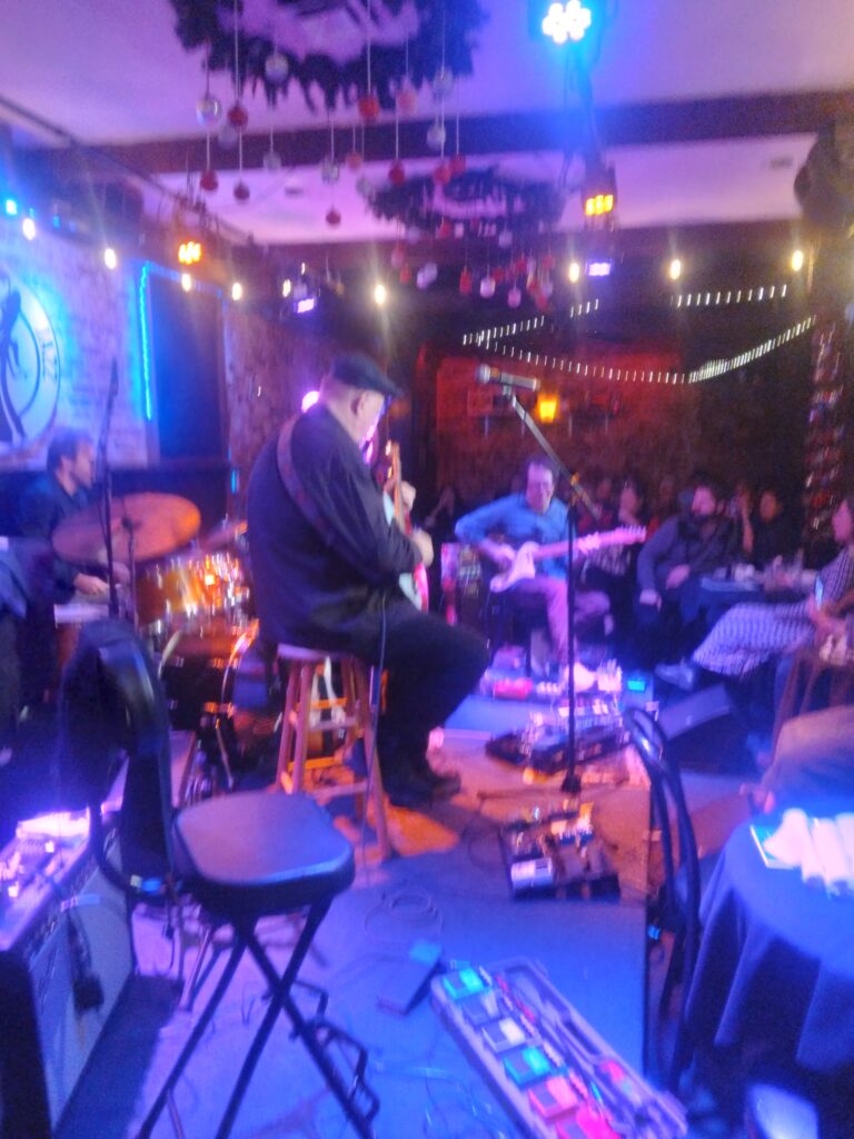 Two musicians on a blue-lit stage play to the audience.