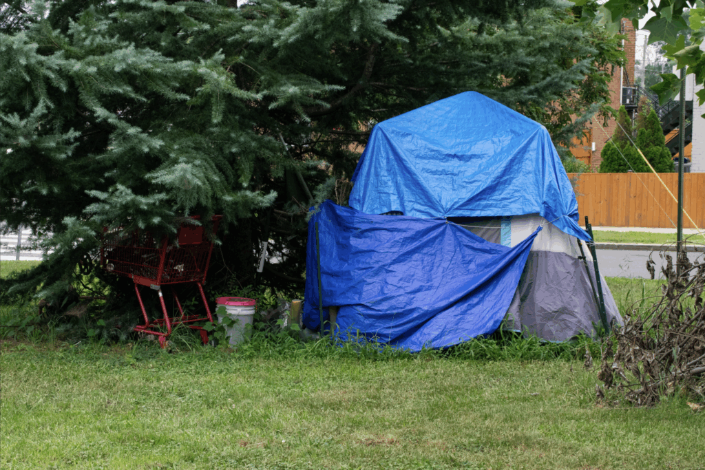 A blue tent in front of a large green tree.